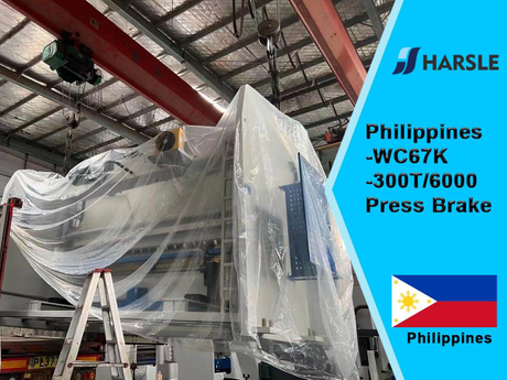 Philippines-WC67K-300T6000 Press Brake (6).jpg