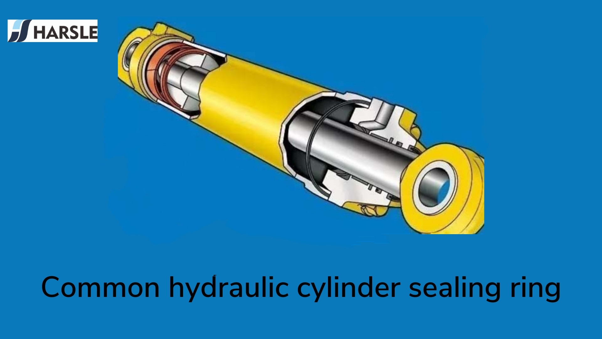 bedrijf boete Nachtvlek 6 Types That Nobody Told You About Hydraulic Cylinder Seal - HARSLE